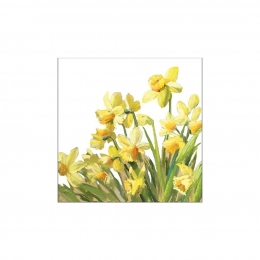  Golden Daffodils húsvéti Szalvéta