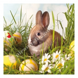  Brown Rabbit húsvéti Szalvéta